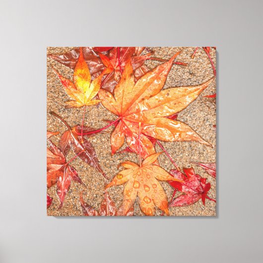 Toile Feuilles rouges dans la pluie (Recto)