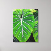 Toile Feuilles tropicaux, Oreilles éléphantes, Vert fonc (Recto)