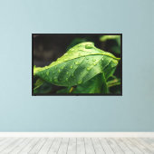 Toile Feuilles, Vertes, Botanique (Insitu (Plancher de Bois))