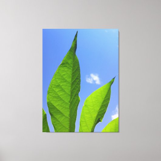 Toile Feuilles Vertes Touchant le Ciel (Recto)