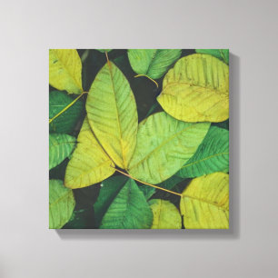 Toile Feuilles verts