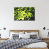 Toile Feuilles verts à sept points avec éclairage solair (Insitu(Chambre))