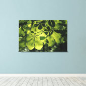 Toile Feuilles verts à sept points avec éclairage solair (Insitu (Plancher de Bois))