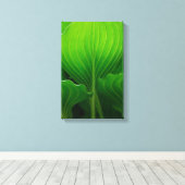 Toile Feuilles verts Hosta (Insitu (Plancher de Bois))