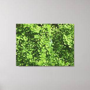 Toile Février Greens