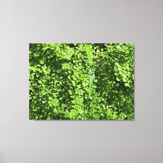 Toile Février Greens (Recto)