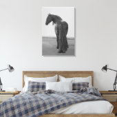Toile Fière étalon noir friésien (Insitu(Chambre))
