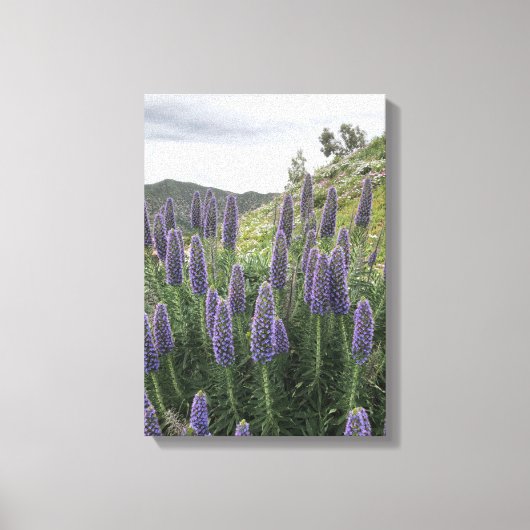 Toile Fierté De Madère (Ranley, Haïti) (Recto)