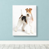Toile Fil Fox Terrier Chien Photo (Insitu (Plancher de Bois))
