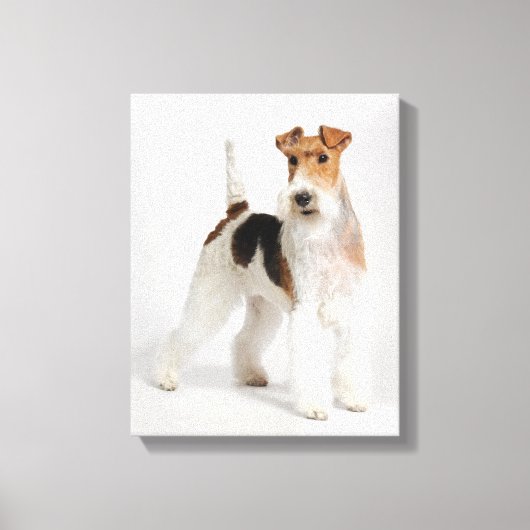Toile Fil Fox Terrier Chien Photo (Recto)