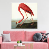 Toile Flamant rose américain d'Audubon (Insitu(Salon))