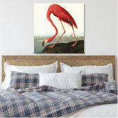 Toile Flamant rose américain d'Audubon (Insitu(Chambre))
