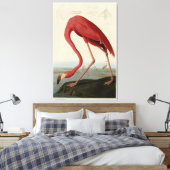 Toile Flamant rose américain d'Audubon's Birds of Americ (Insitu(Chambre))