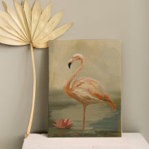 Flamant rose au bord de l'eau - Elegant Bird