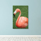 Toile Flamant rose rose (Insitu (Plancher de Bois))