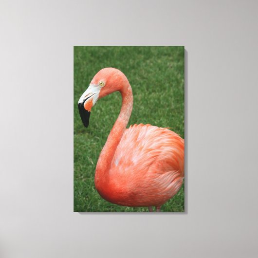 Toile Flamant rose rose (Recto)