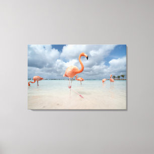 Toile Flamants roses Beach Aruba