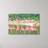 Toile Flamants roses en rang au lac, Faune Nature Birds (Recto)
