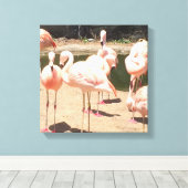 Toile Flamants roses roses (Insitu (Plancher de Bois))