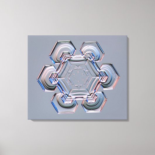 Toile Flèche de neige (Recto)