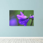 Toile Fleur Bluebell dans Independence Pass in (Insitu (Plancher de Bois))