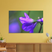 Toile Fleur Bluebell dans Independence Pass in (Insitu(Salon))