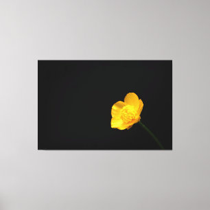 Toile Fleur Buttercup 60x40 (150x100cm) waccna