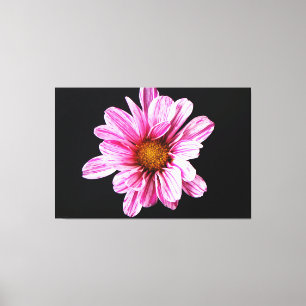 Toile Fleur Chrysanthème 60x40 (150x100cm) waccn