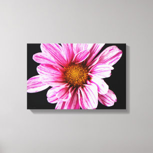 Toile Fleur Chrysanthemum 16,50x11 (41,25x27,5cm) waccn