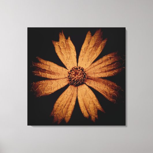 Toile Fleur Cosmos Or sur Noir (Recto)