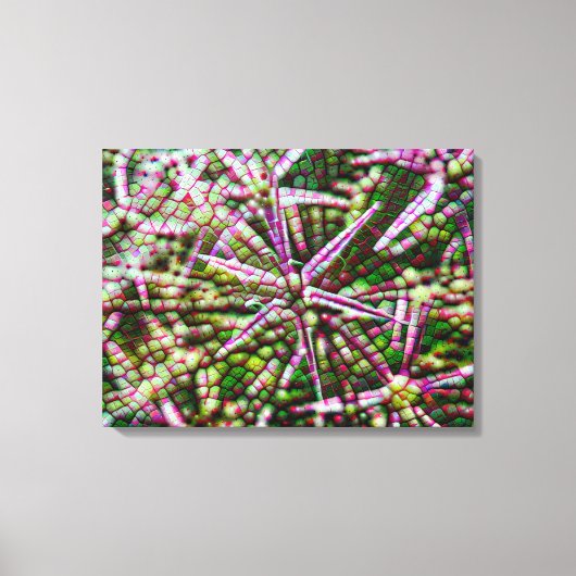 Toile Fleur d'ail Cellulaire Abstrait Mur Art (Recto)