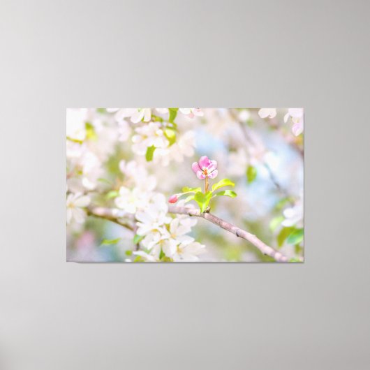 Toile Fleur d'Apple - Beauté (Recto)