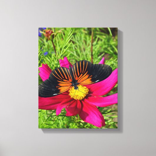 Toile Fleur d'aster mexicain avec une Longwing de Doris (Recto)