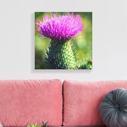 Toile Fleur de chardon violet (Insitu(Salon))