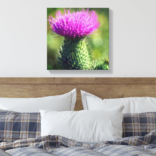 Toile Fleur de chardon violet (Insitu(Chambre))
