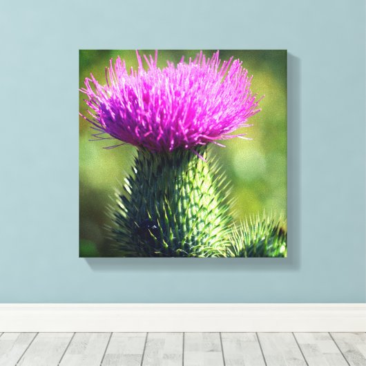 Toile Fleur de chardon violet (Insitu (Plancher de Bois))