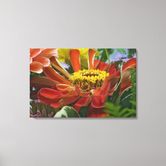 Toile fleur de chrysanthème (Recto)