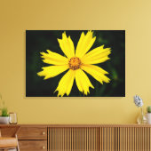 Toile Fleur de Cosmos jaune Gros plan 2 (Insitu(Salon))