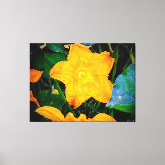 Toile Fleur de courgette jaune vibrant (Recto)