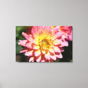 Toile Fleur de dahlia rose et jaune chaud