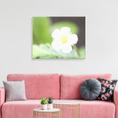 Toile Fleur de fraise sauvage blanche (Insitu(Salon))