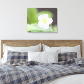 Toile Fleur de fraise sauvage blanche (Insitu(Chambre))
