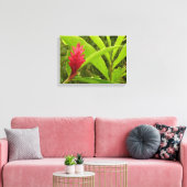 Toile Fleur de gingembre rouge (Alpinia) tropicale (Insitu(Salon))
