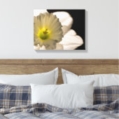 Toile Fleur de jonquille blanche rétro-éclairée (Insitu(Chambre))