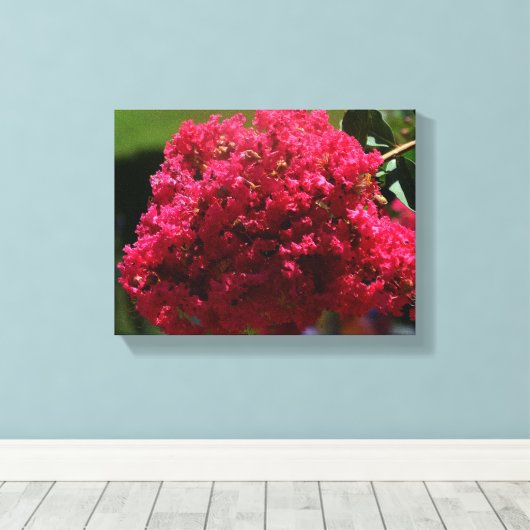Toile fleur de lagerstroemia (Insitu (Plancher de Bois))