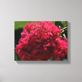 Toile fleur de lagerstroemia (Recto)