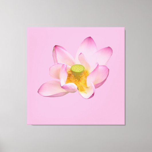 Toile Fleur de lotus (Recto)