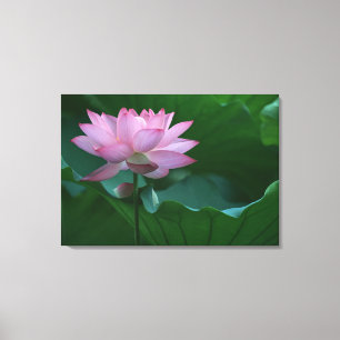 Toile Fleur de Lotus