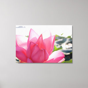 Toile fleur de lotus [Nelumbo speciosum] en pleine