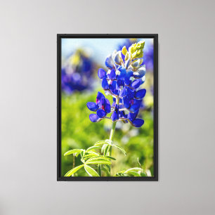Toile Fleur de Lupin bleu du Texas